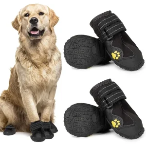 Dog Boots for All Seasons
